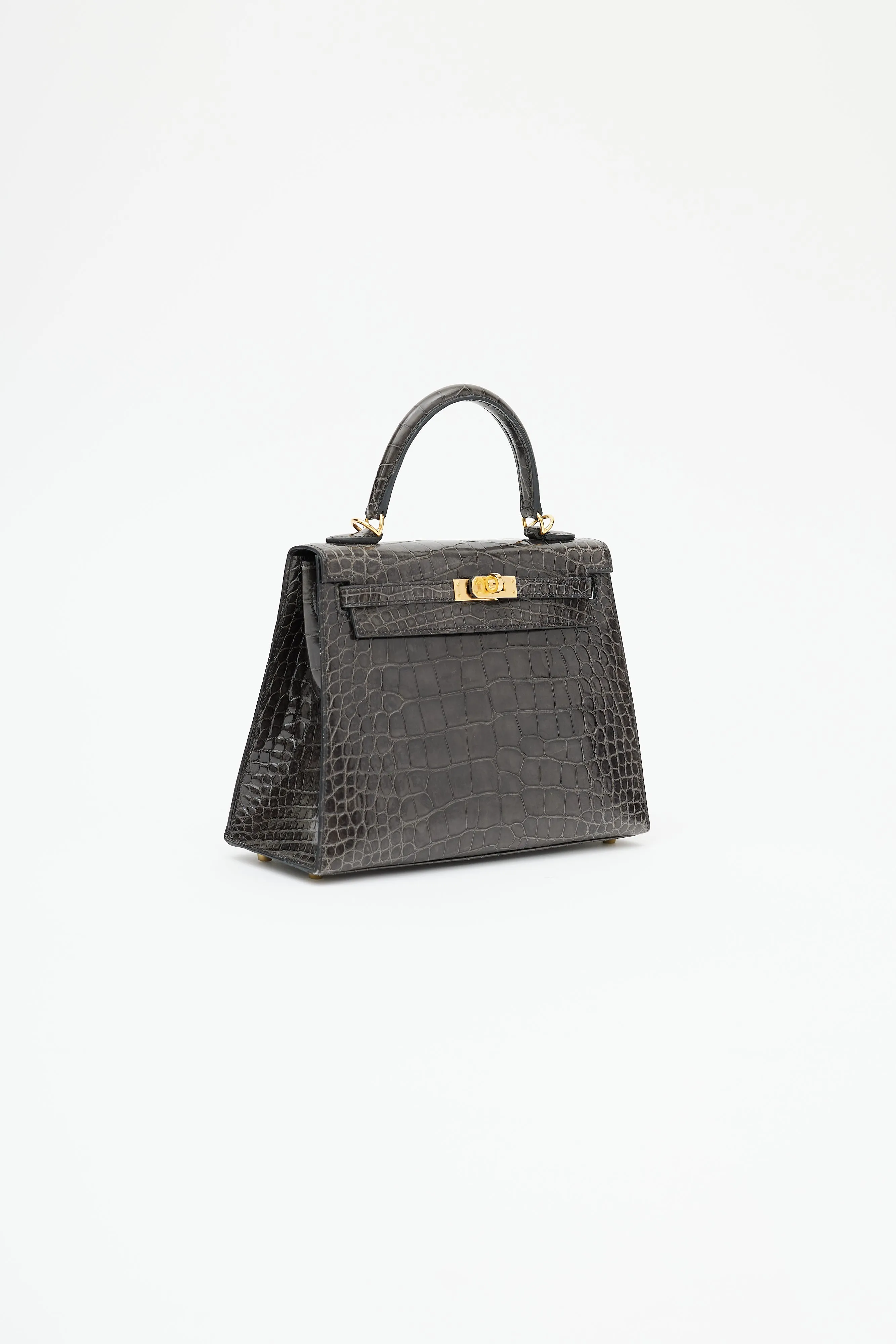 2020 Graphite Exotic Leather & Gold Kelly Sellier 25 Bag