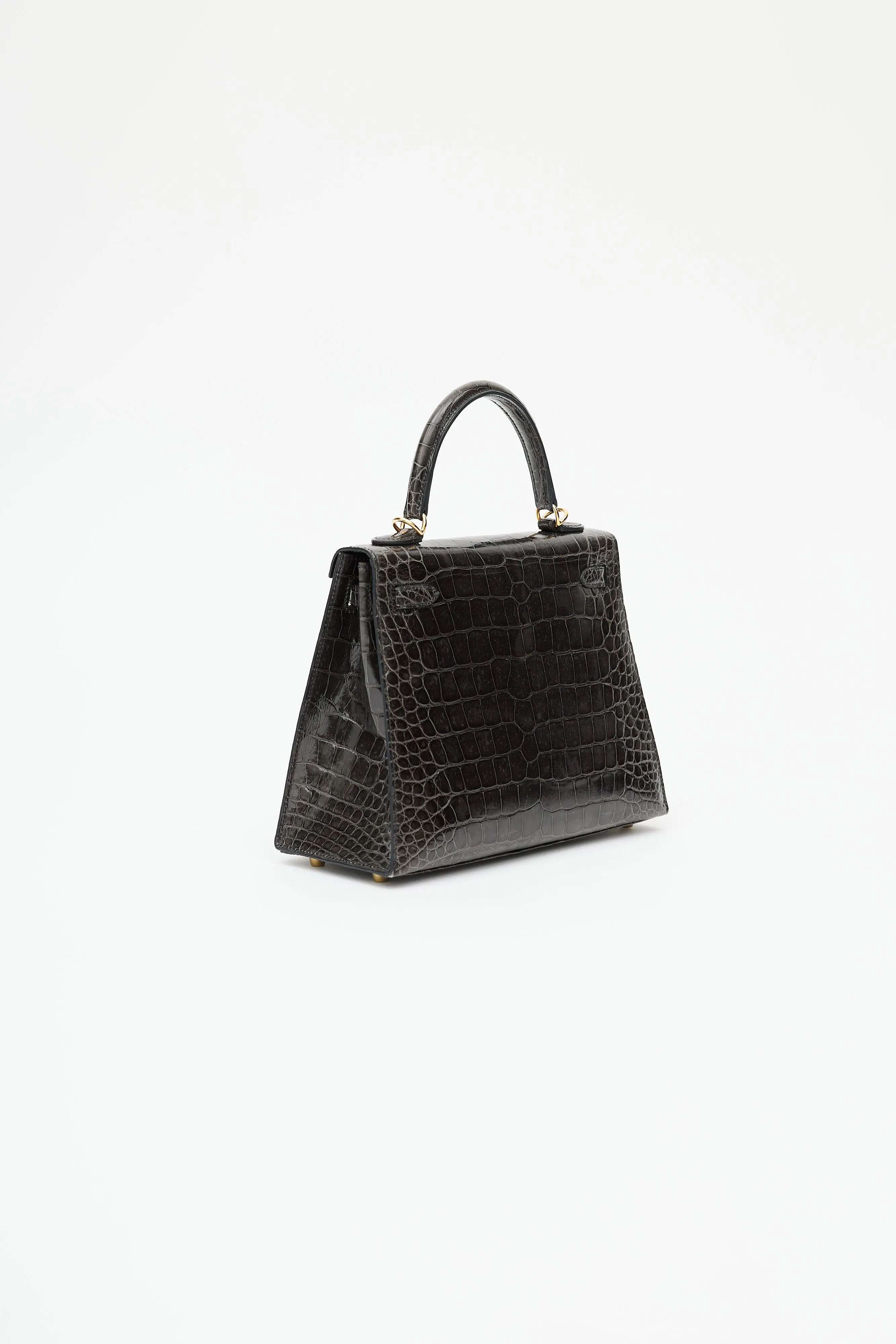 2020 Graphite Exotic Leather & Gold Kelly Sellier 25 Bag