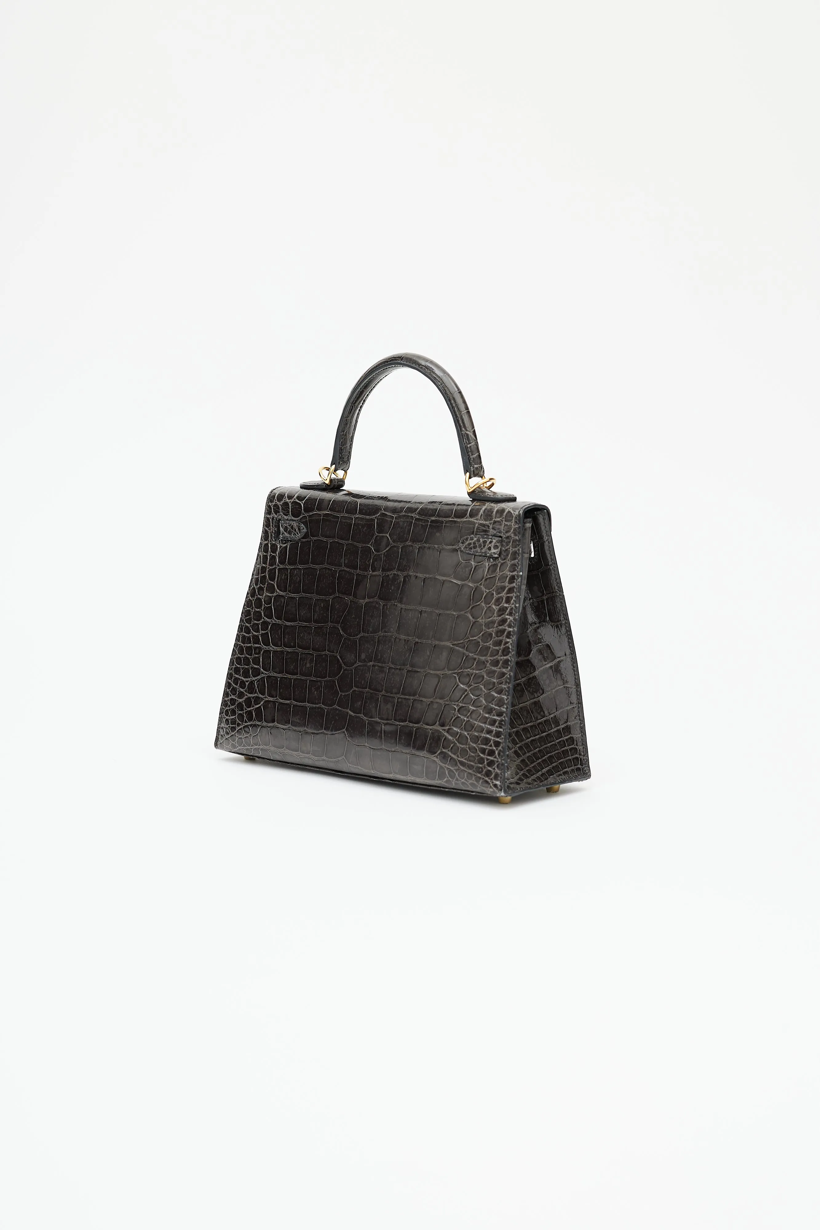 2020 Graphite Exotic Leather & Gold Kelly Sellier 25 Bag