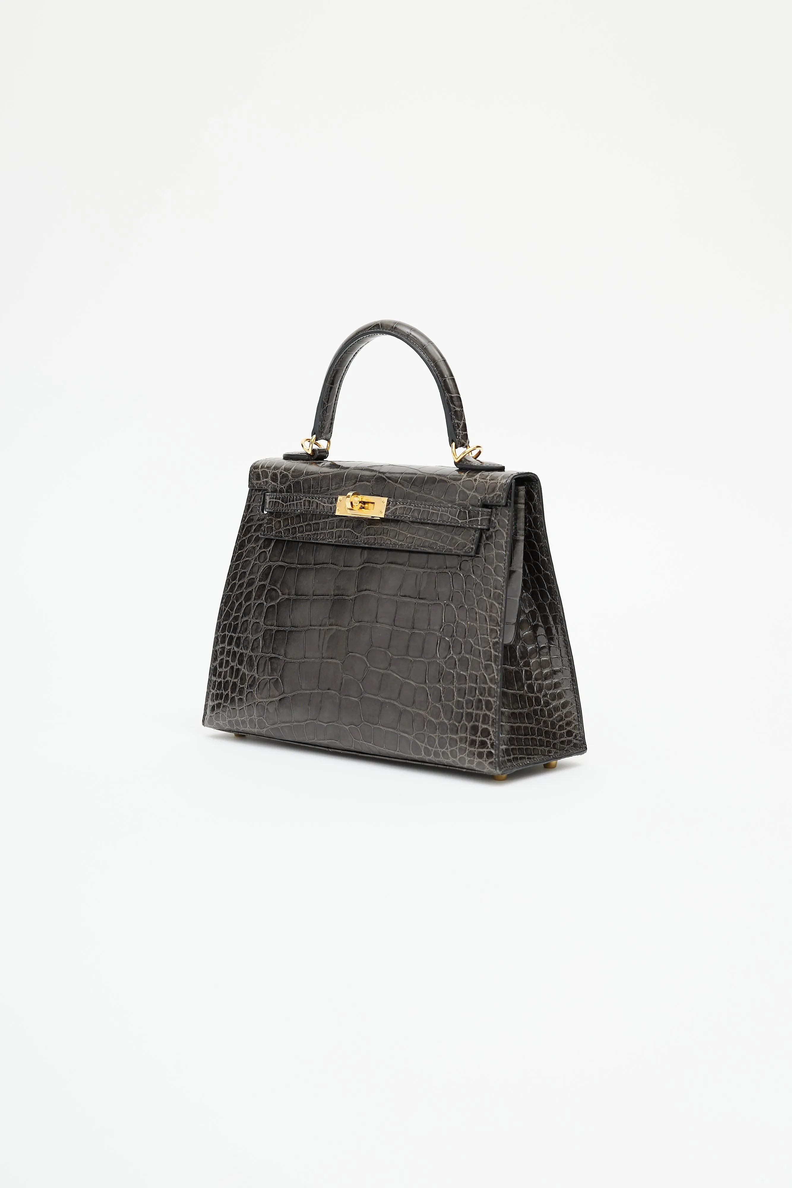 2020 Graphite Exotic Leather & Gold Kelly Sellier 25 Bag