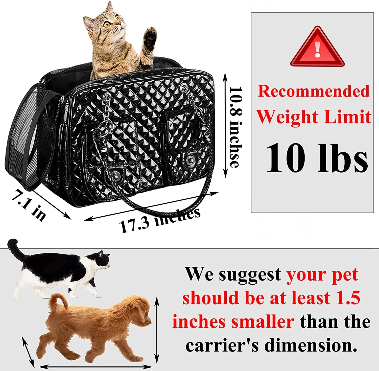 Collapsible & Portable Pet Carrying Handbag