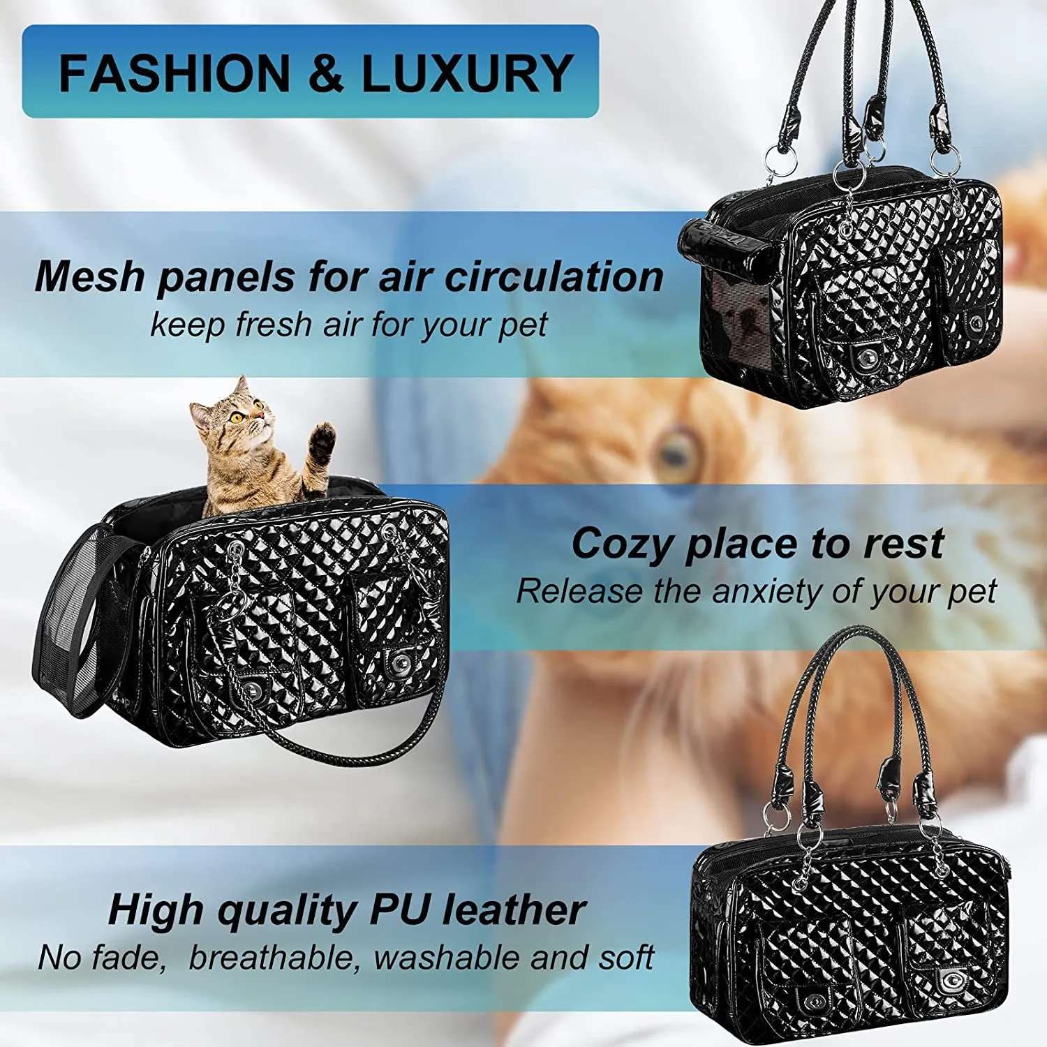 Collapsible & Portable Pet Carrying Handbag