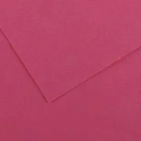 Colorline Paper Sheets 19in x 25in 300gsm Fuchsia