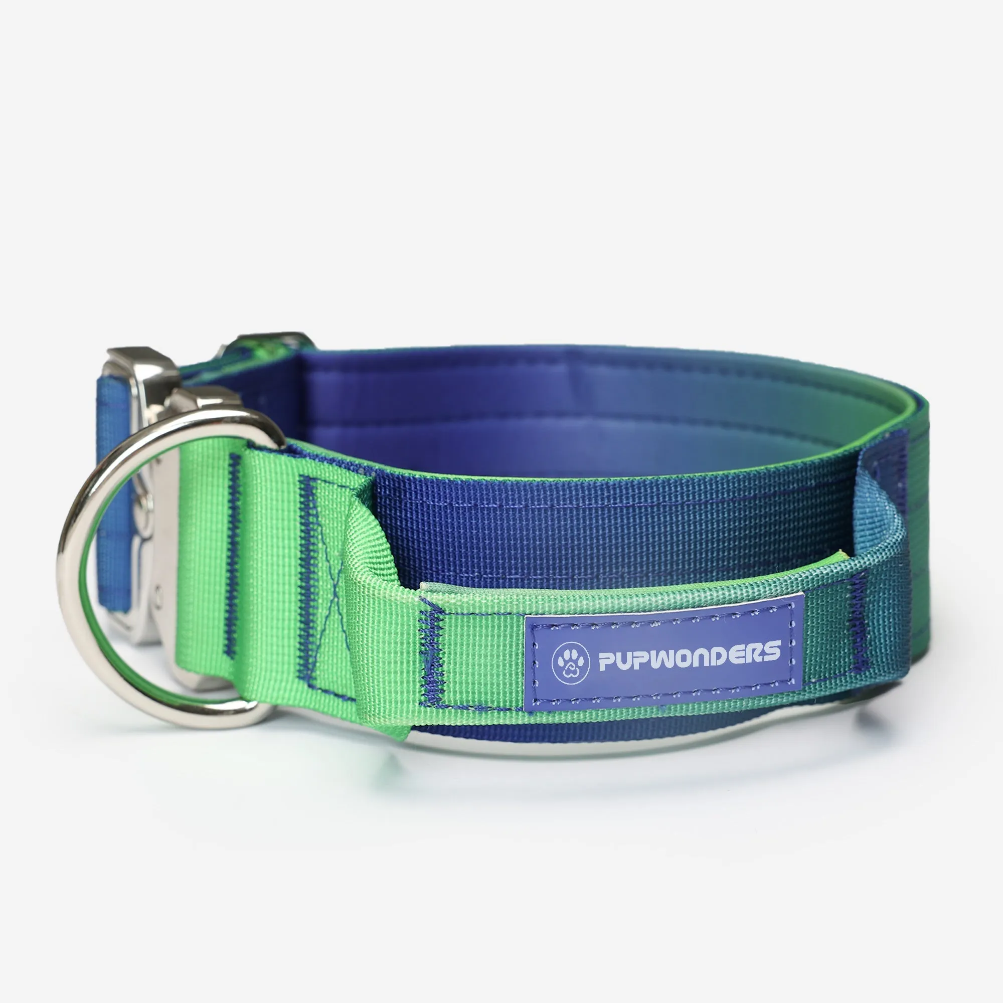 Complete Control Dog Collar - Aurora