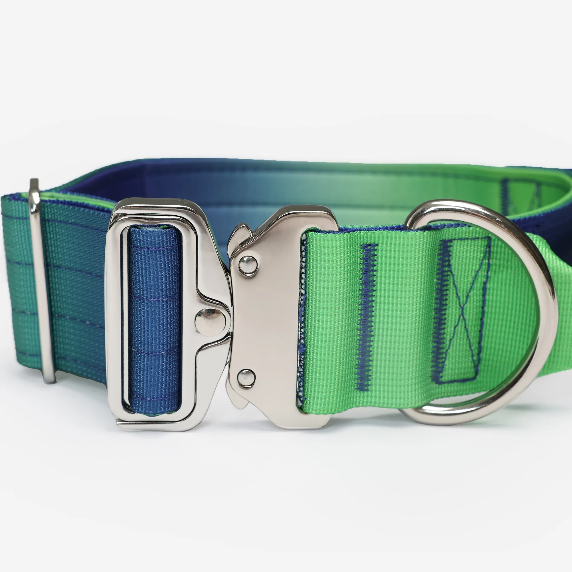 Complete Control Dog Collar - Aurora