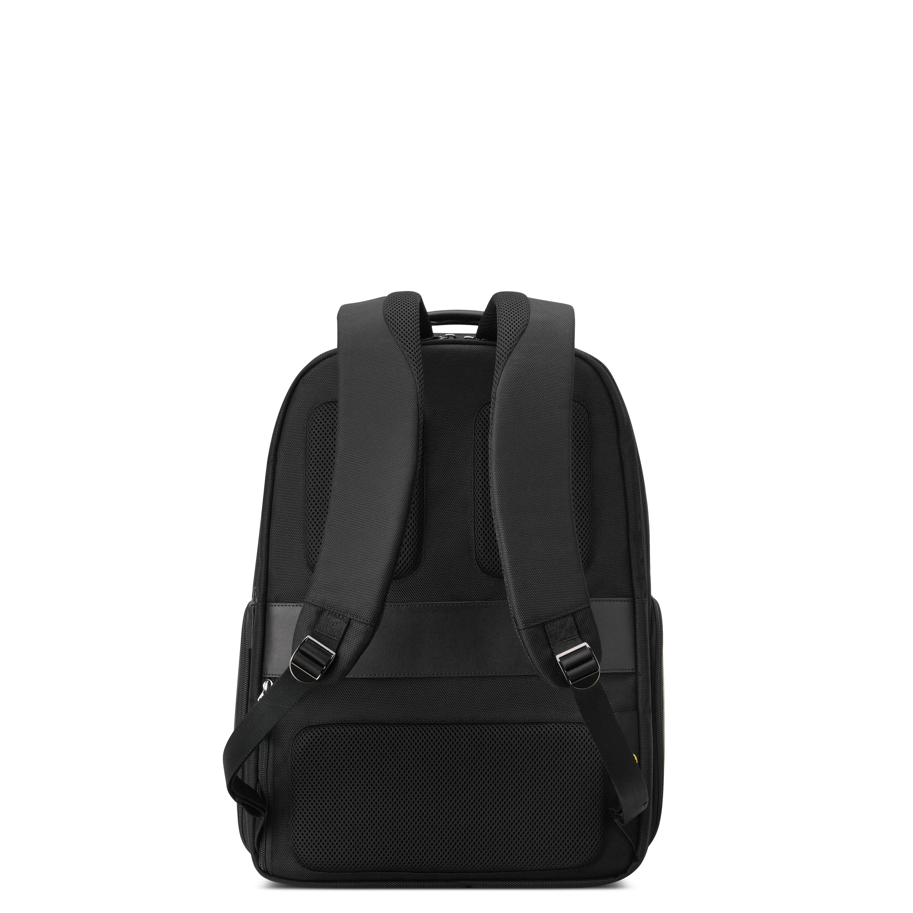 Delsey Wagram 2 Compartment Laptop Backpack 17.3 Inch