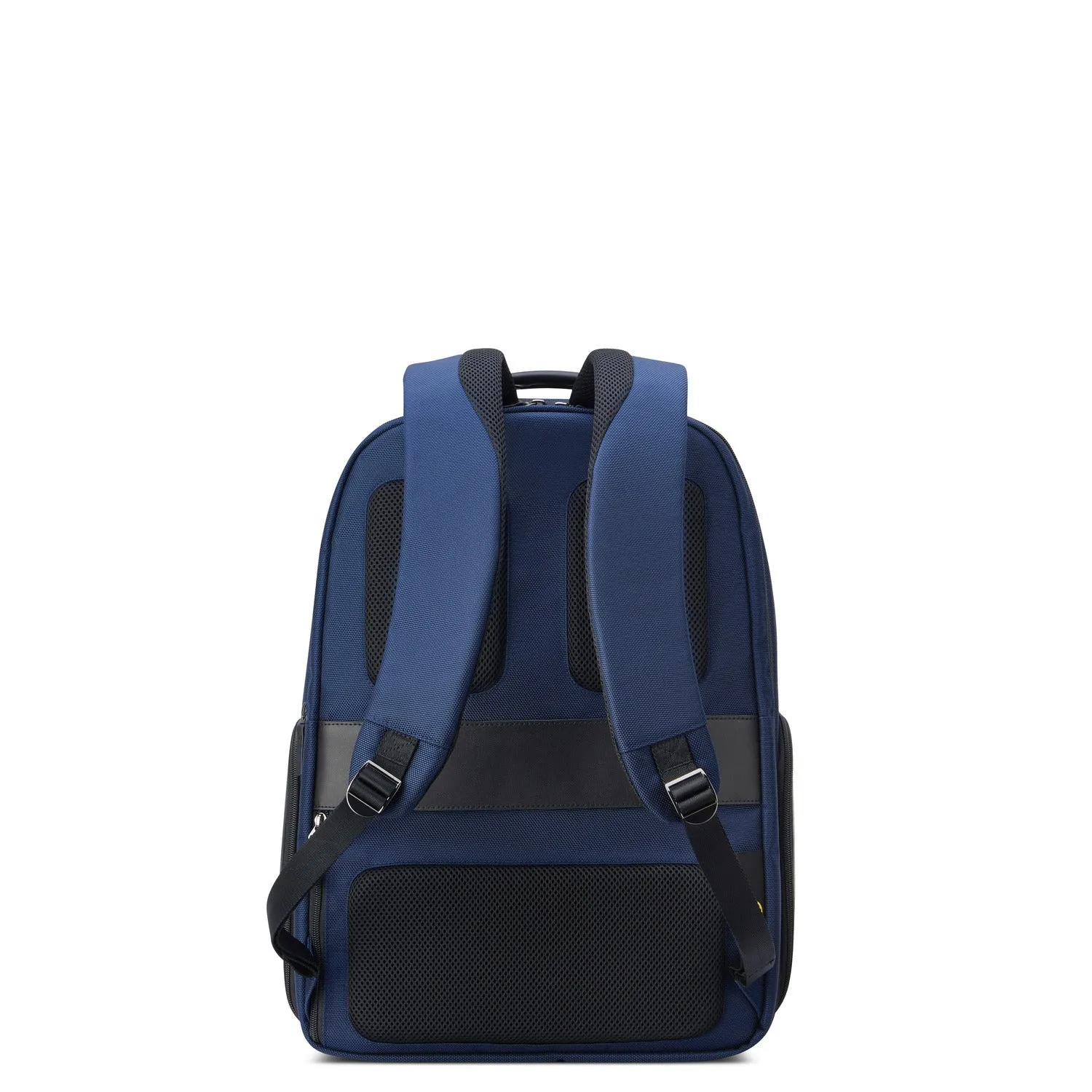 Delsey Wagram 2 Compartment Laptop Backpack 17.3 Inch