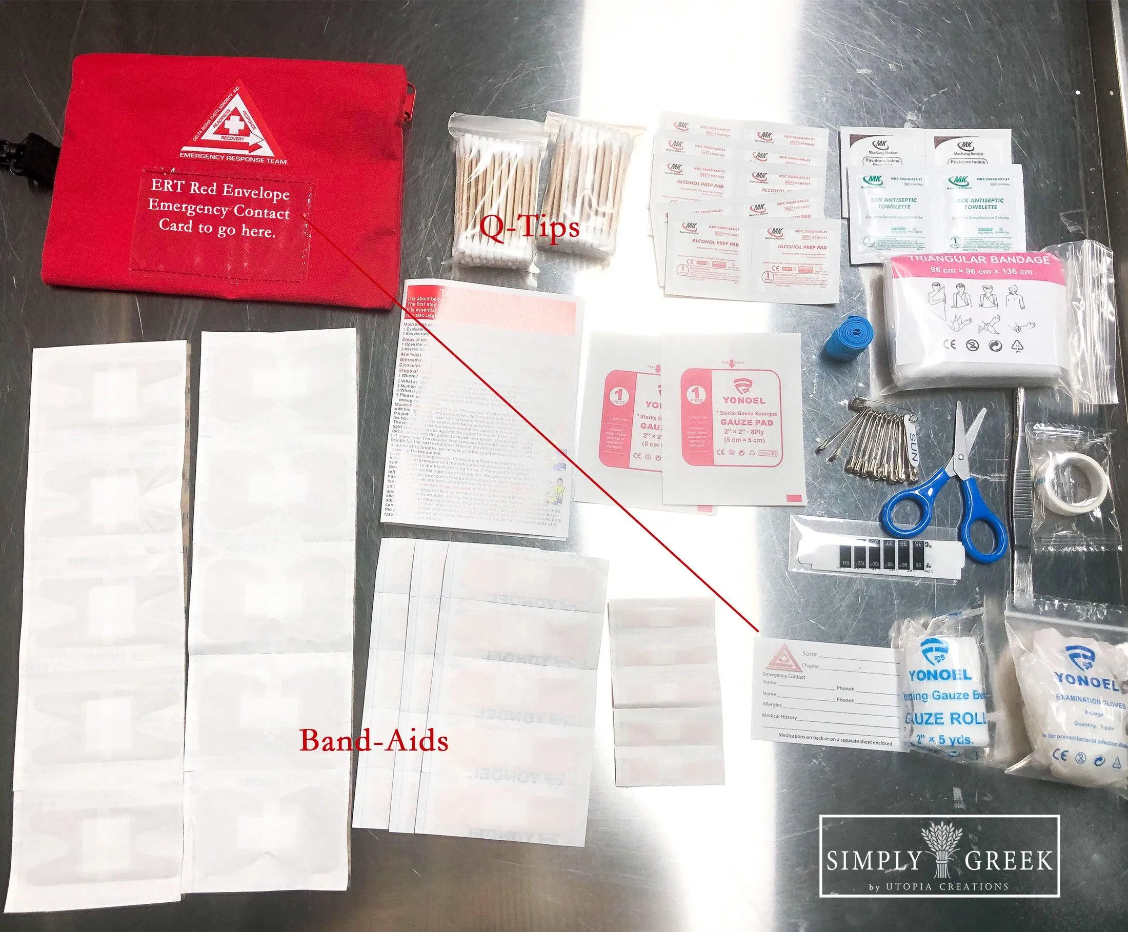 Delta Sigma Theta ERT Emergency Travel First Aid Kit