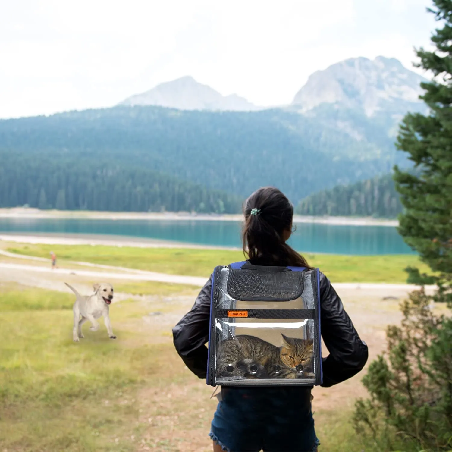 Dog Backpack Carrier with Cozy Mat