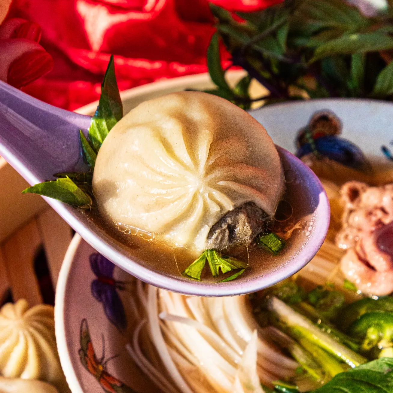 DOORBUSTER -- Soup Dumplings (50 PC)