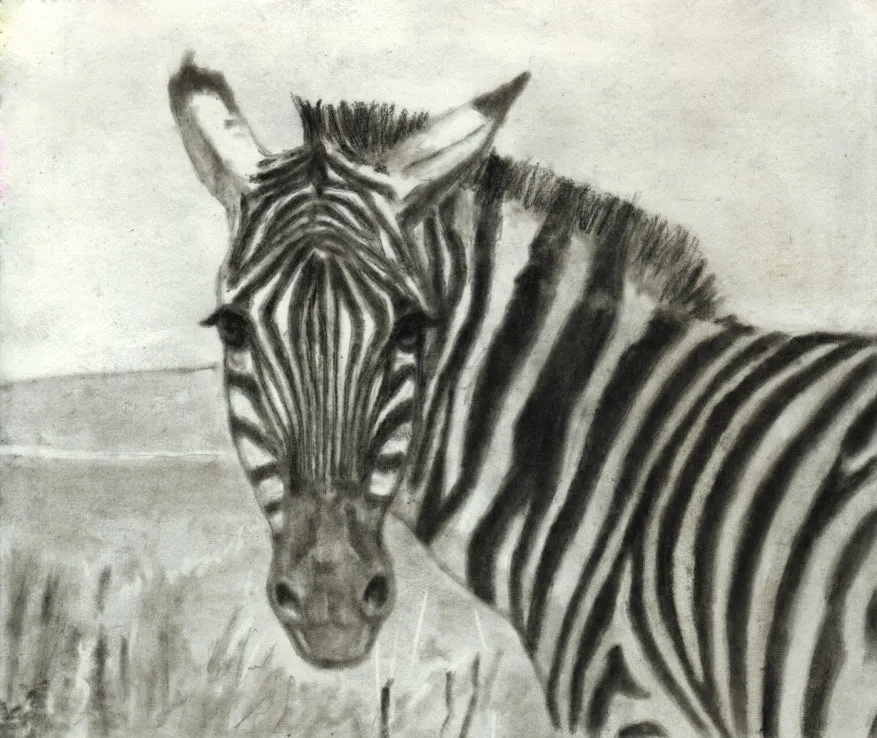 Drawing - Drawing with Charcoal For Beginners - Step By Step Guide to Drawing Landscapes – Portraits – Animals