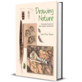 Drawing Nature: The Creative Process of an Artist, Illustrator, and Naturalist