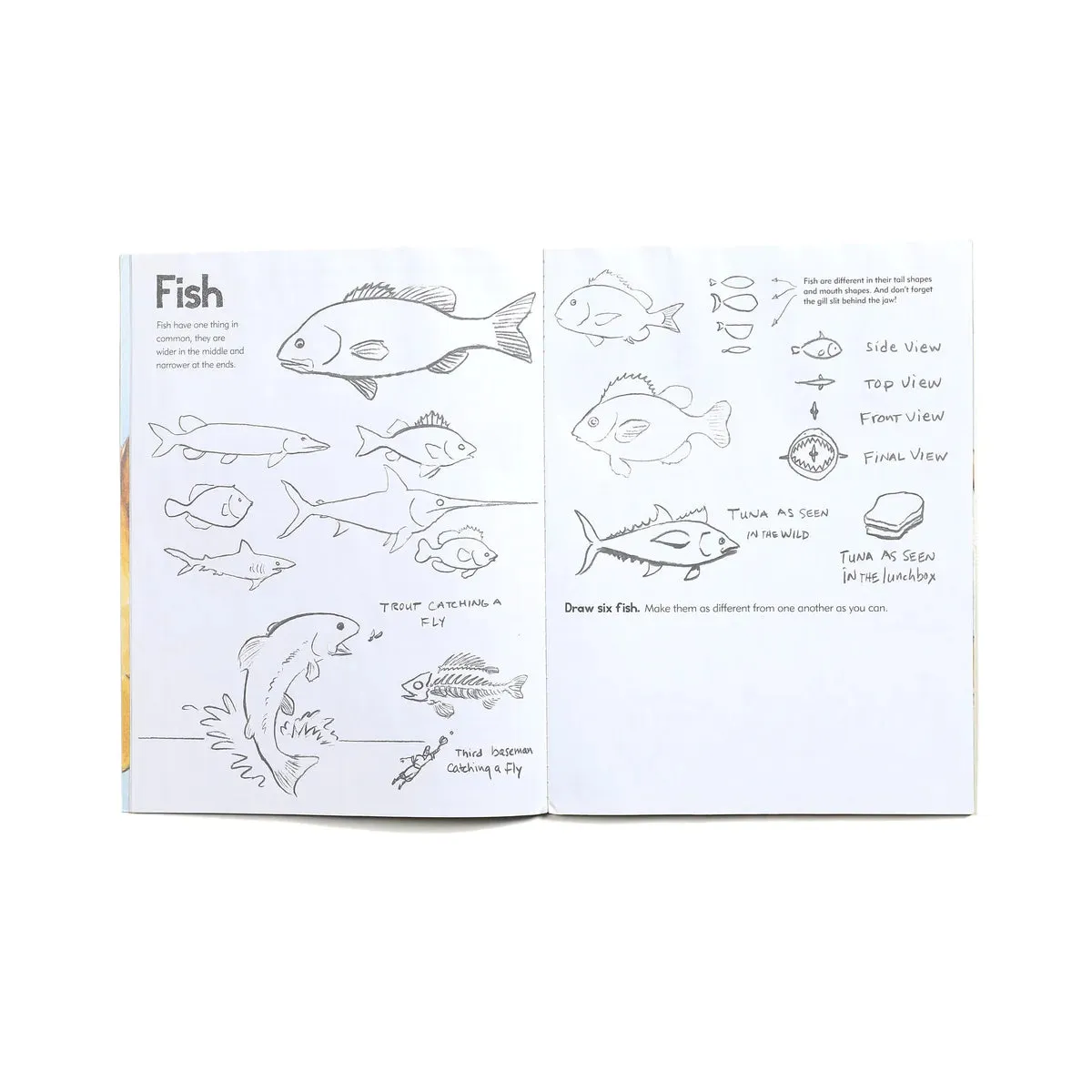 eeBoo Learn to Draw Animals Art Book