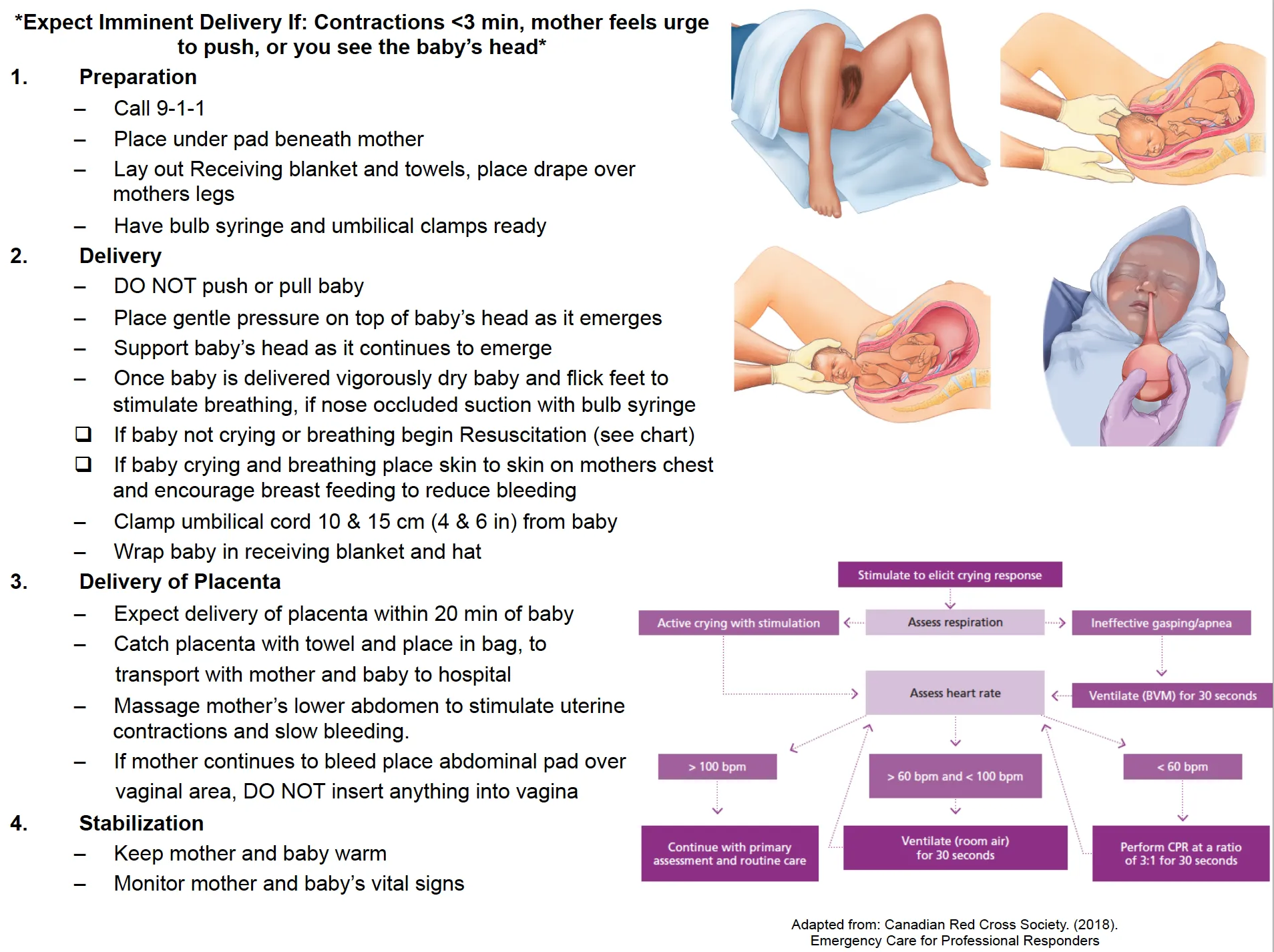 Emergency Childbirth: OB Obstetrics Kit