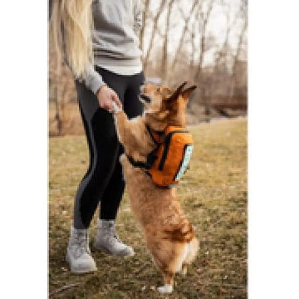 K9 Sport Sack Walk-on with Harness & Storage