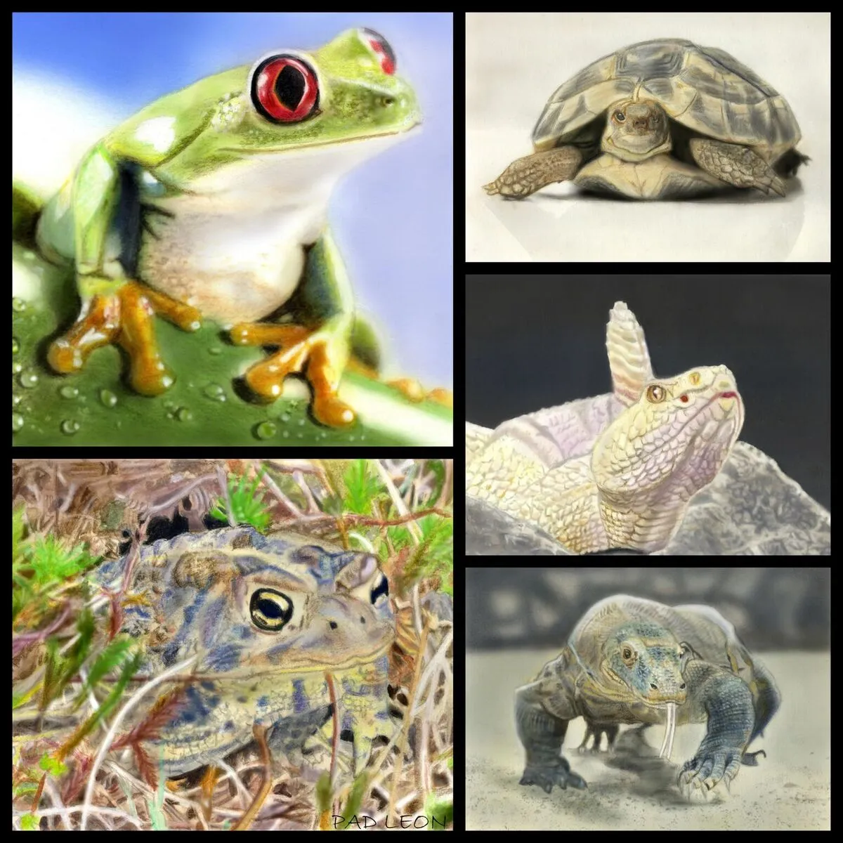 Learn How to Airbrush Reptiles and Amphibians For the Beginners