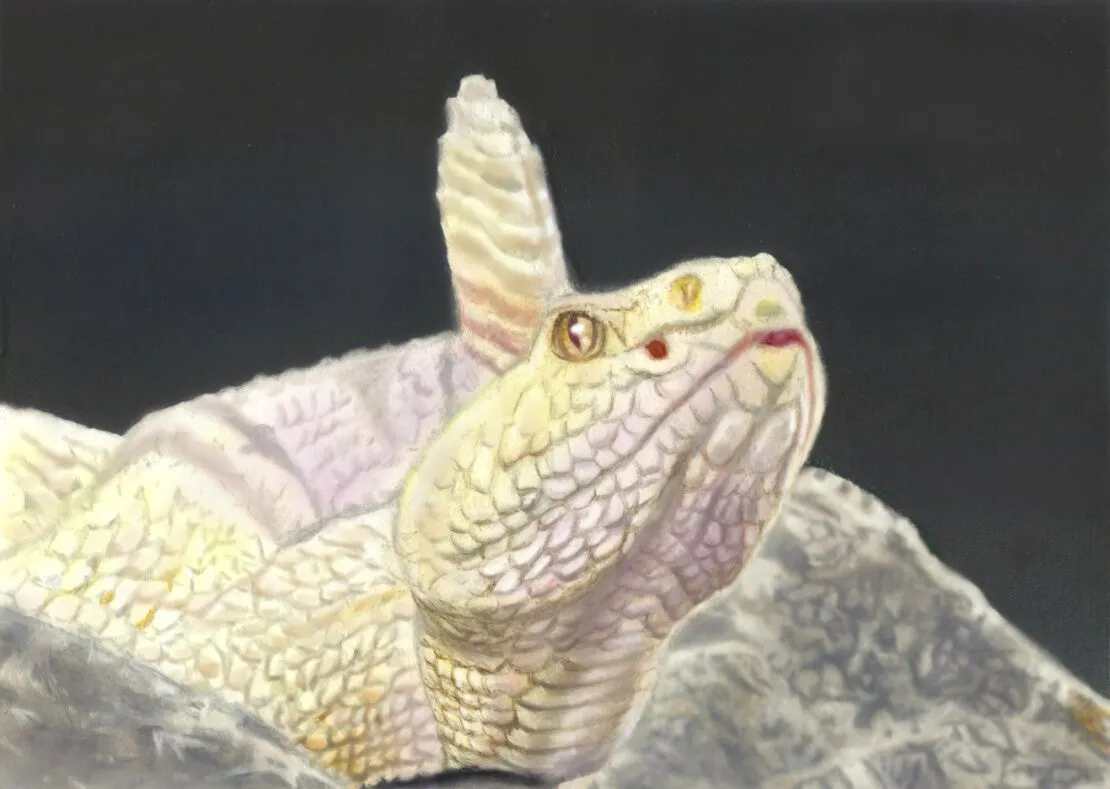 Learn How to Airbrush Reptiles and Amphibians For the Beginners