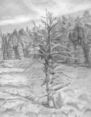 Learn How to Draw Landscapes in Pencil and Charcoal For The Absolute Beginner