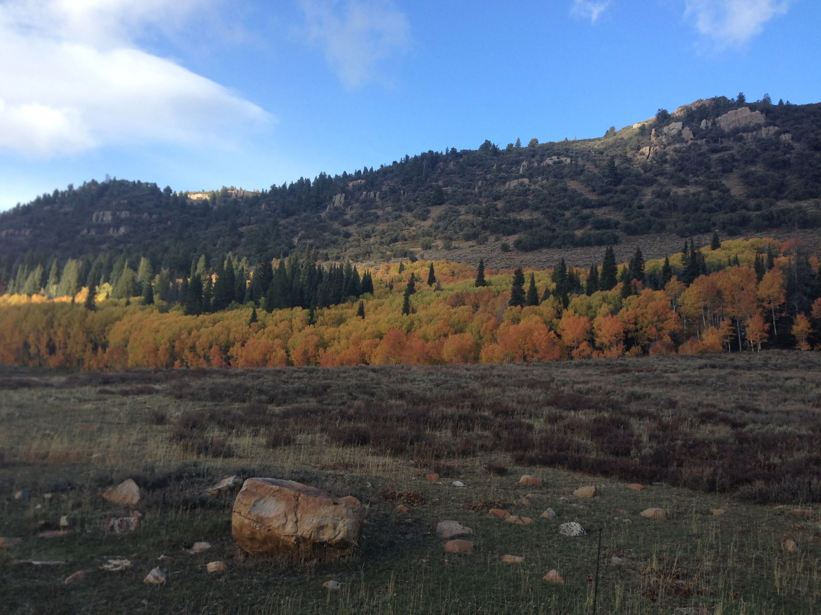 Learn How to Draw Landscapes in Pencil and Charcoal For The Absolute Beginner