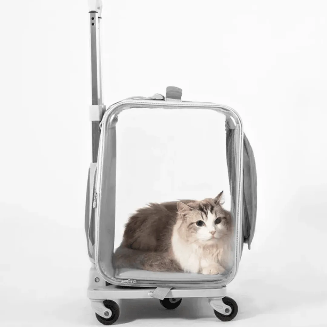 Pet Prowl Cat Stroller