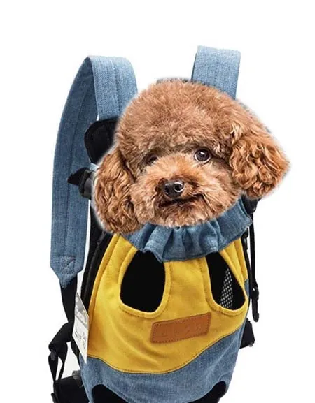 Pet Travel Carrier: Portable Bag for On-the-Go Adventures.