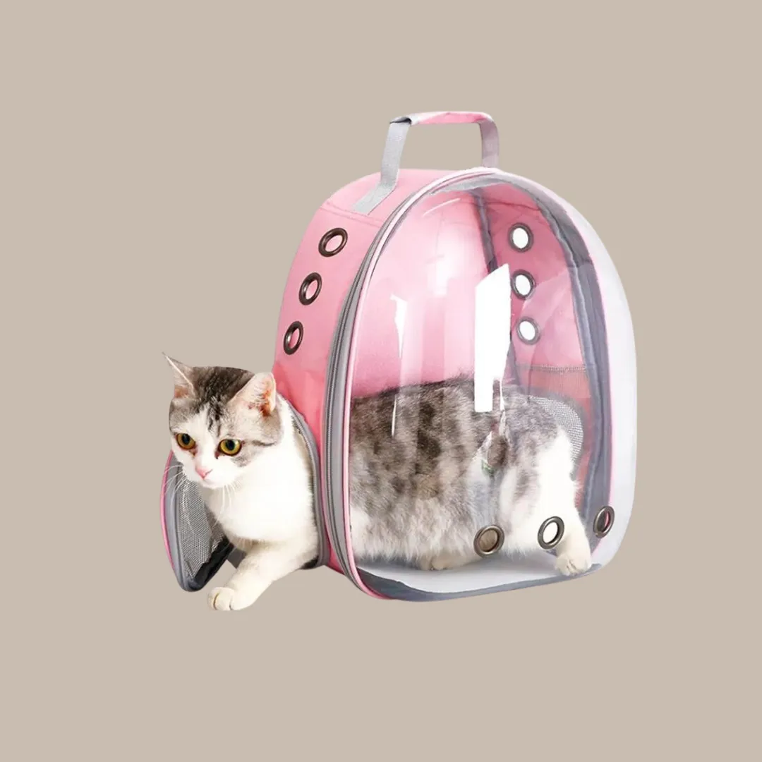 Puppy Kitty Carrier Bag