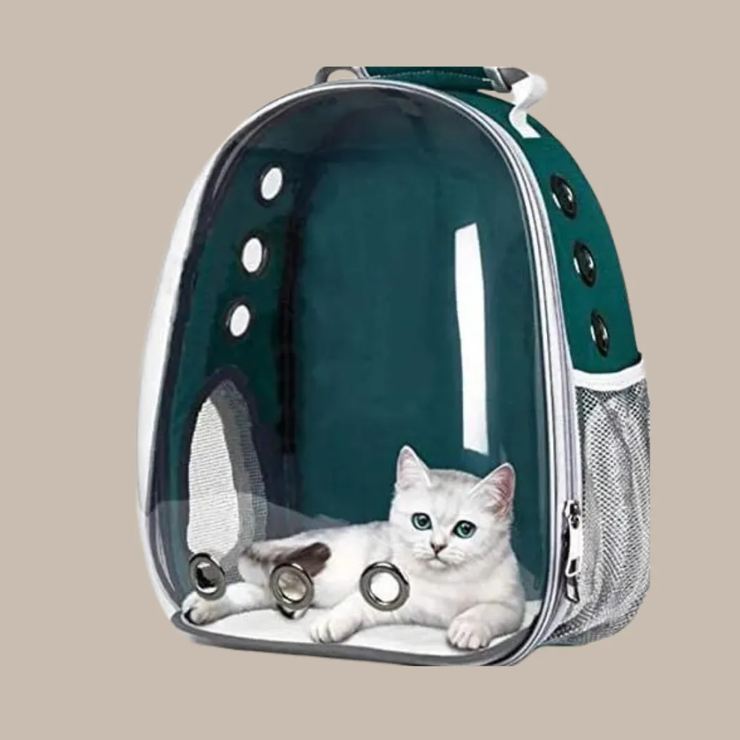 Puppy Kitty Carrier Bag