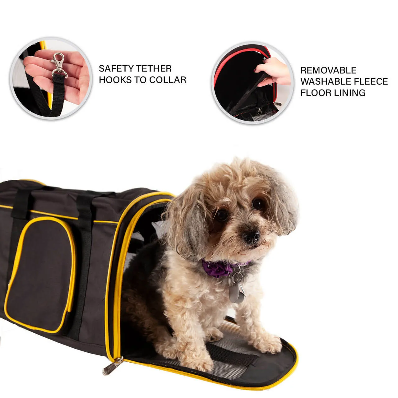 South Florida 16" Premium Pet Carrier