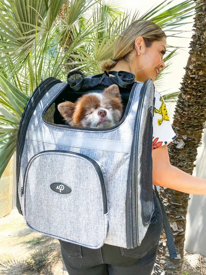 The Backpacker Pet Carrier