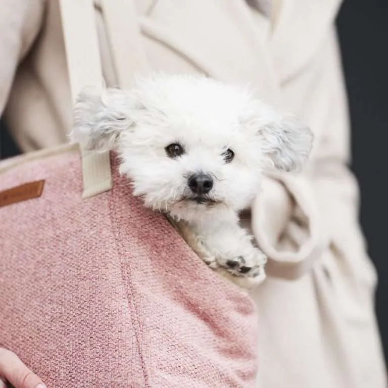 William Walker Dog Carrier Bag