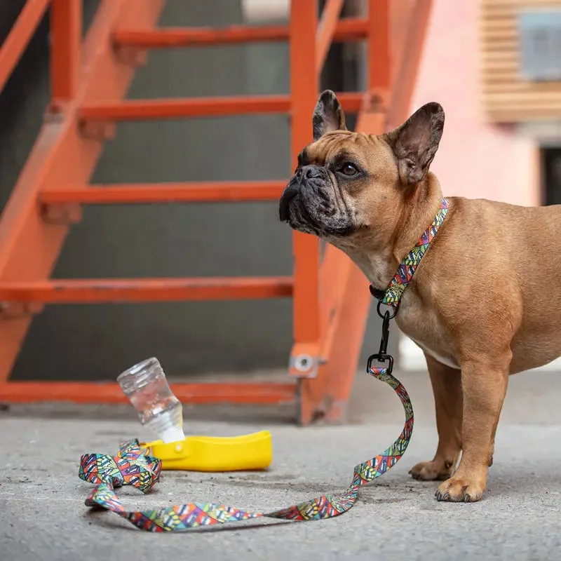 yellow travel dog water bottle